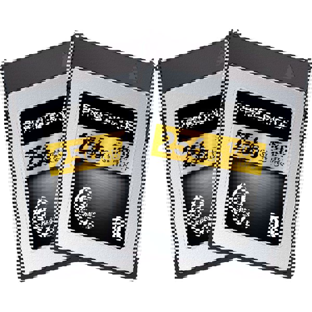 

Prograde Digital ProGrade Digital Gold Series 256GB CFexpress Type-B 2.0 Memory Card, 2-Pack