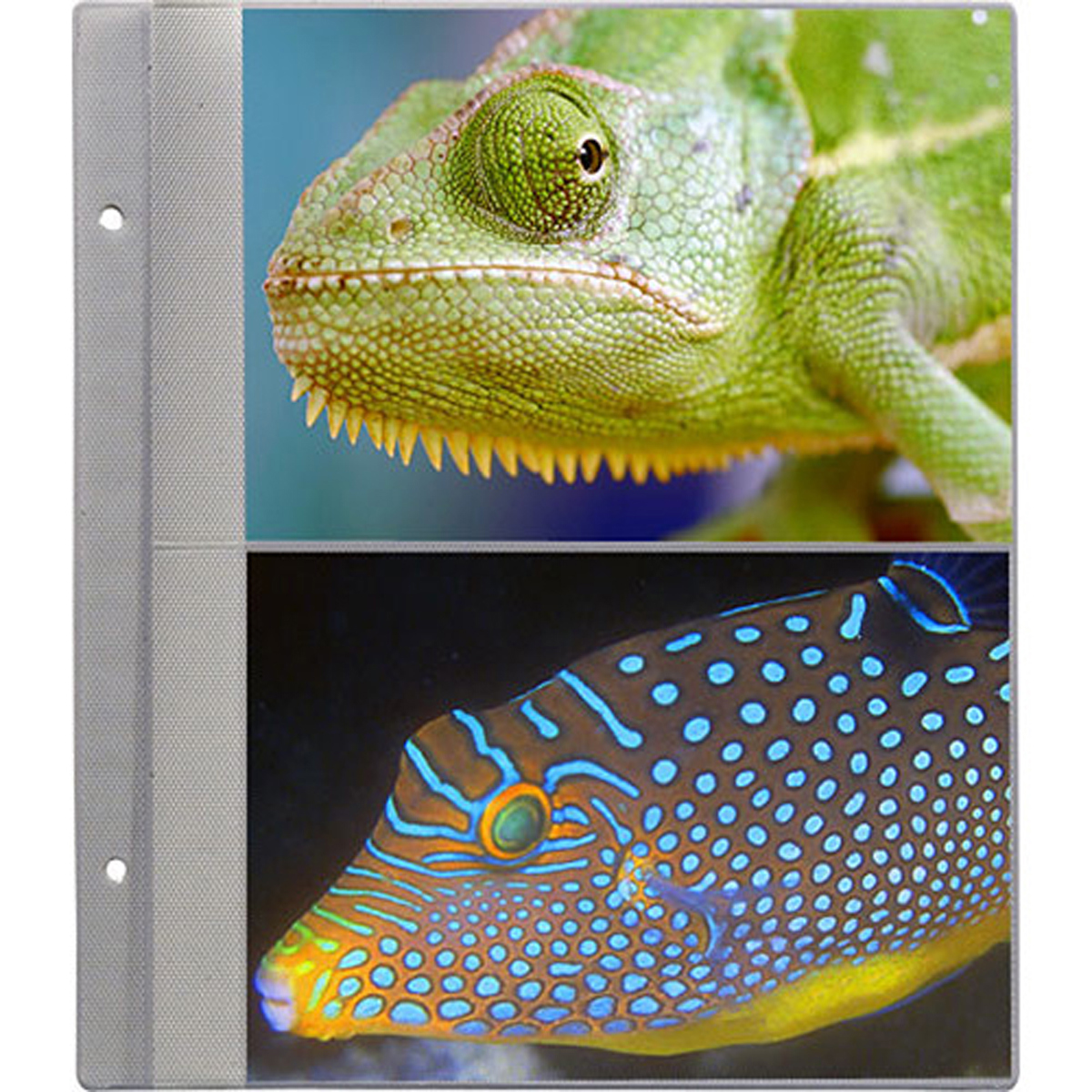

Pioneer Photo Album Pioneer R57 Refill Pages X-Pando Pocket Album,5x7-10