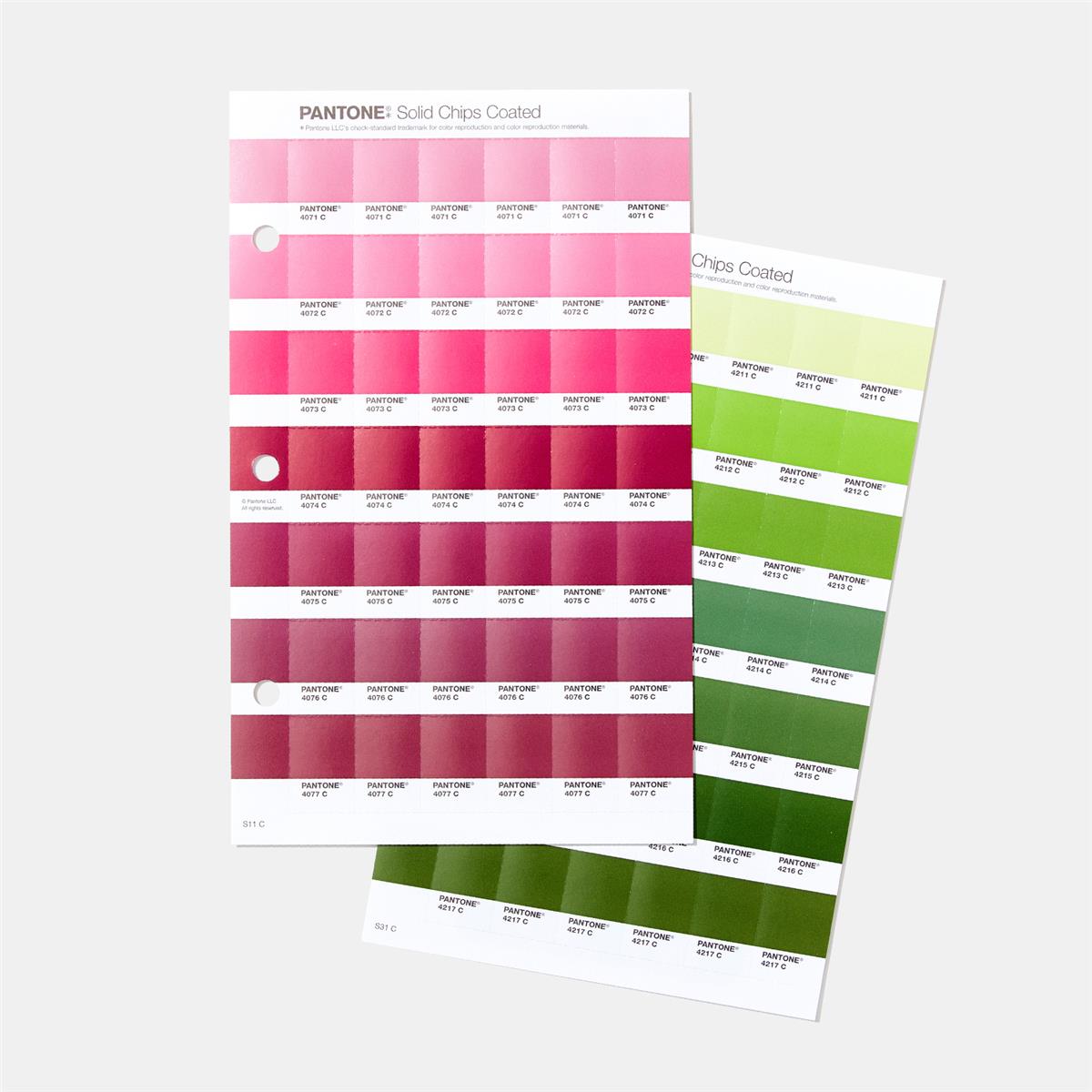 Image of Pantone Solid Chips Supplement Set