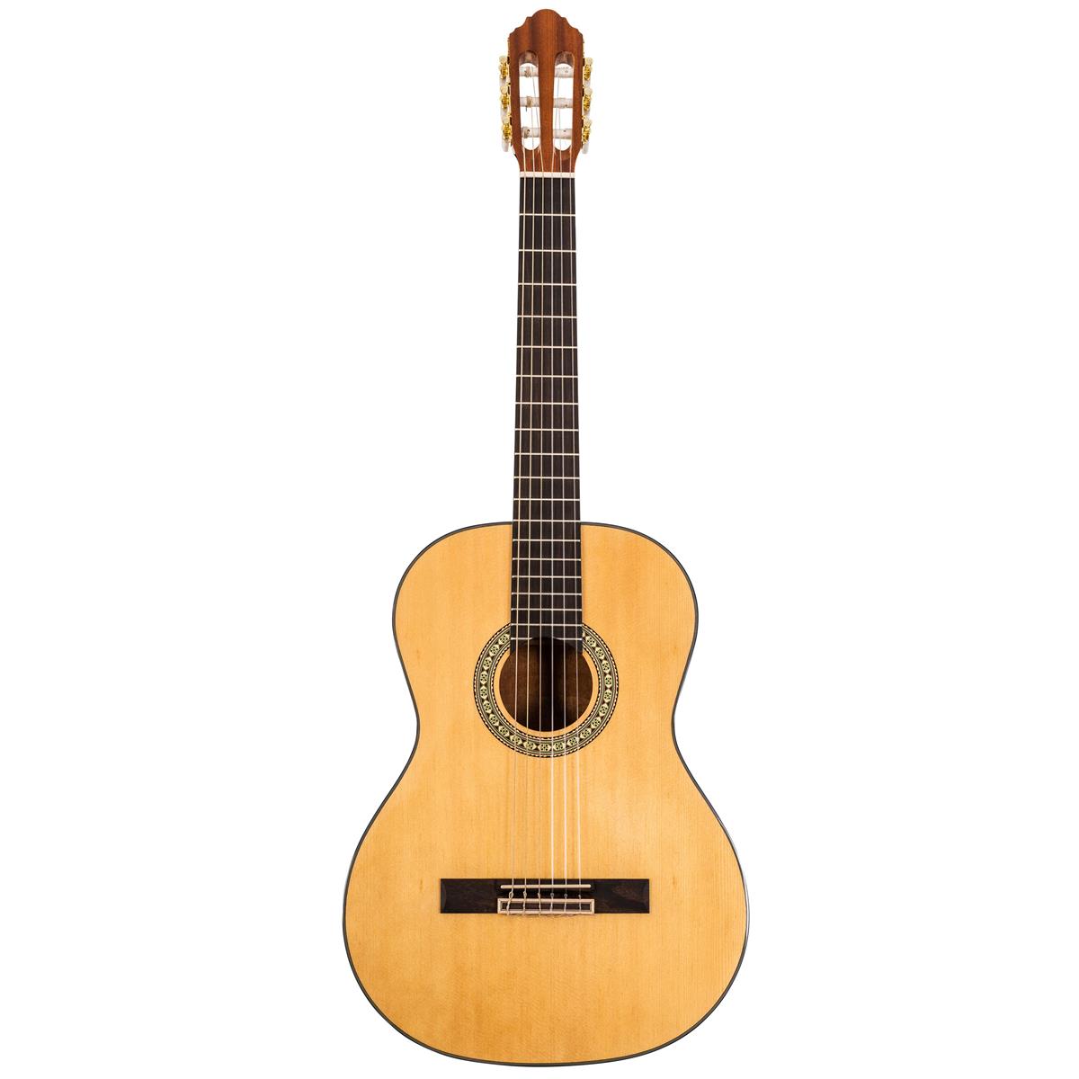 Image of Peavey Delta Woods CNS-1 Classical Nylon String Acoustic Guitar