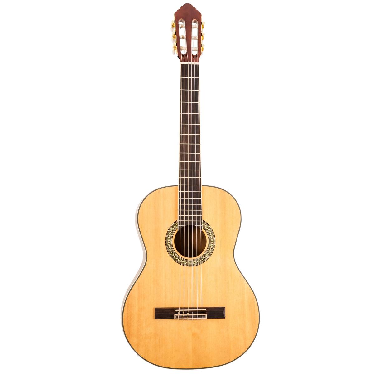 

Peavey Delta Woods CNS-2 Classical Nylon String Acoustic Guitar