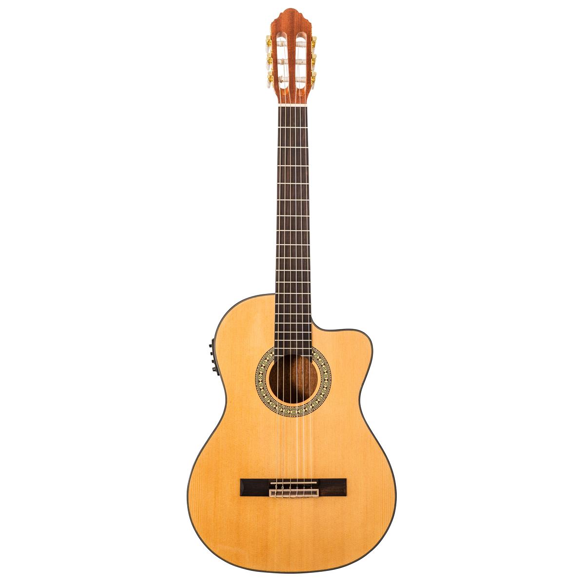 Image of Peavey Delta Woods CNS-CE Classical Nylon String Acoustic Electric Guitar