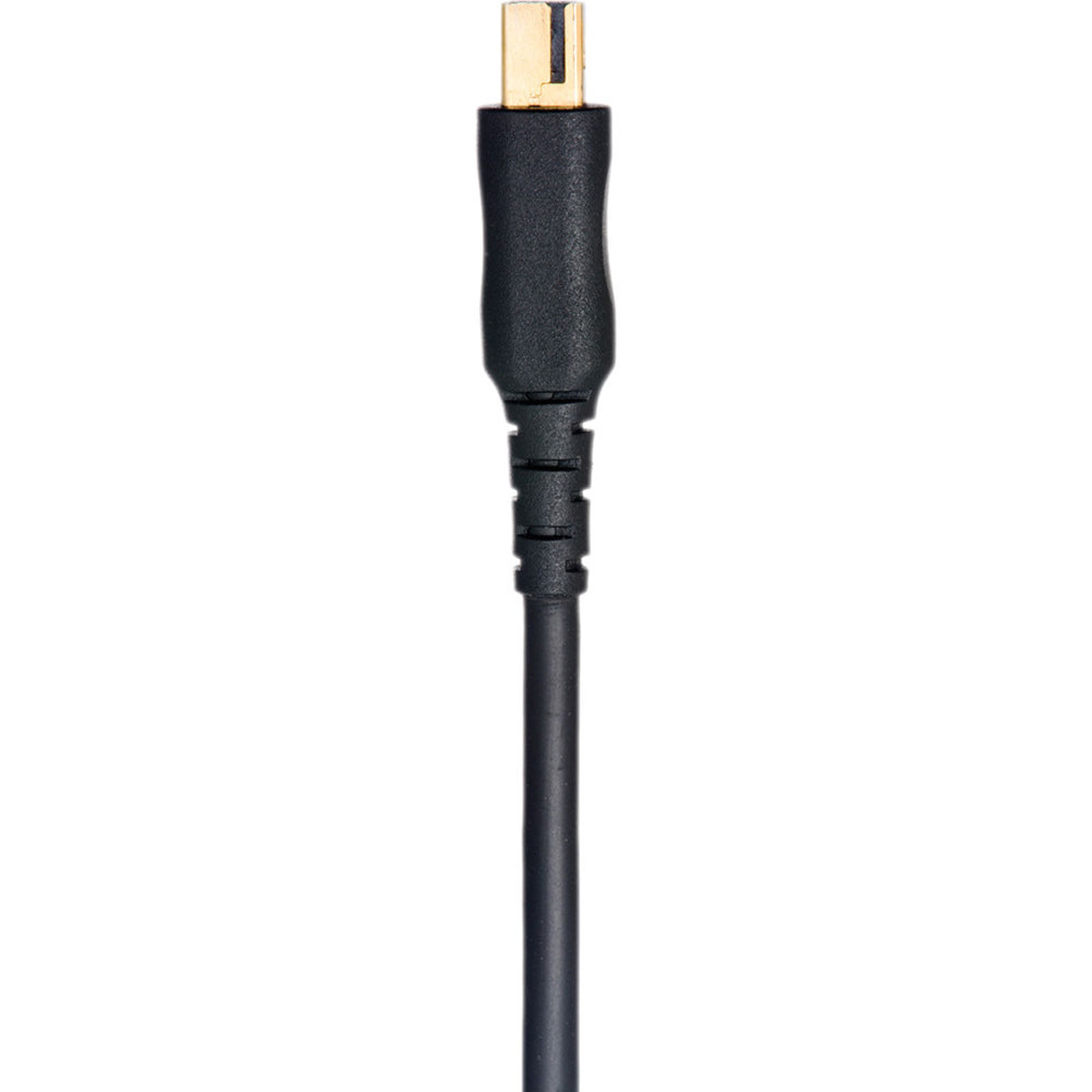 

PocketWizard N-MCDC2-ACC Nikon MCDC2 Remote Camera Cable 12"