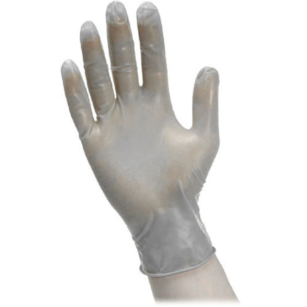 

Photographers' Formulary Vinyl Gloves, Large, 10 Pack