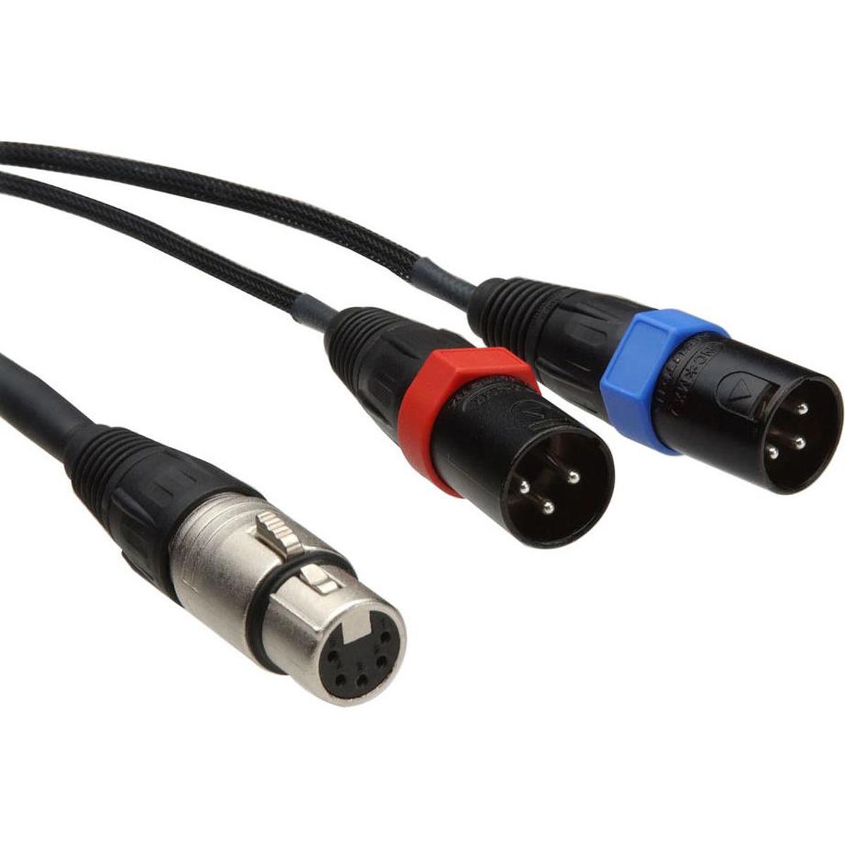 

Remote Audio 25' Balanced Stereo Breakout Cable with XLR5F to 2x XLR3M Connector