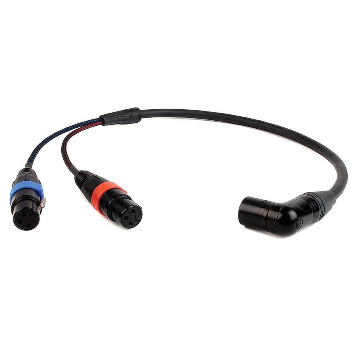 

Remote Audio 2' Balanced Stereo Breakout Cable, 2x XLR3F to XLR5M RA Connector