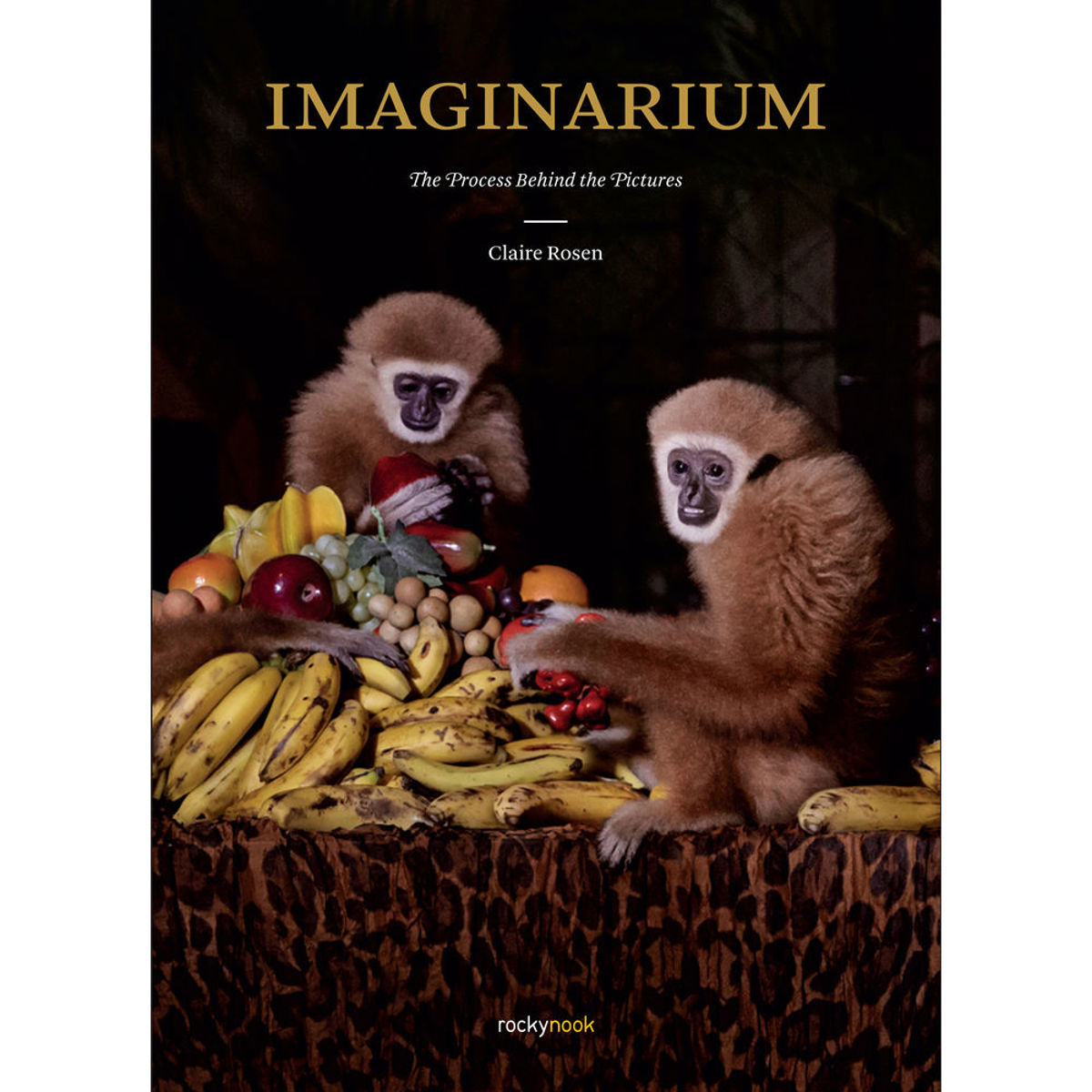 

Rocky Nook Imaginarium: The Process Behind the Pictures