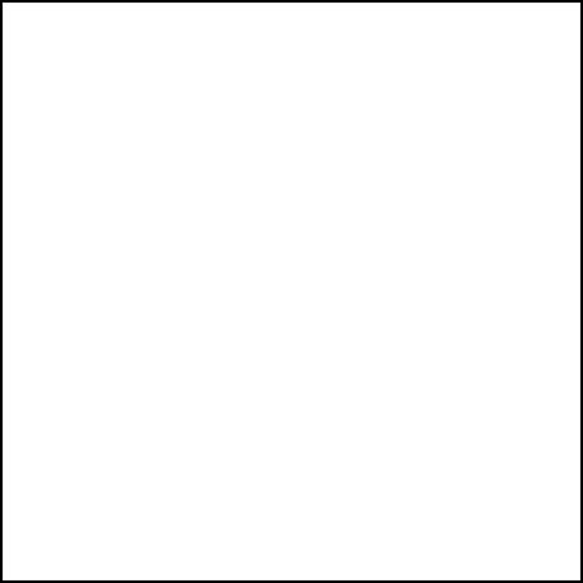 

Rosco 117 Roscolux 1/2 Tough White Diffusion, 20x24