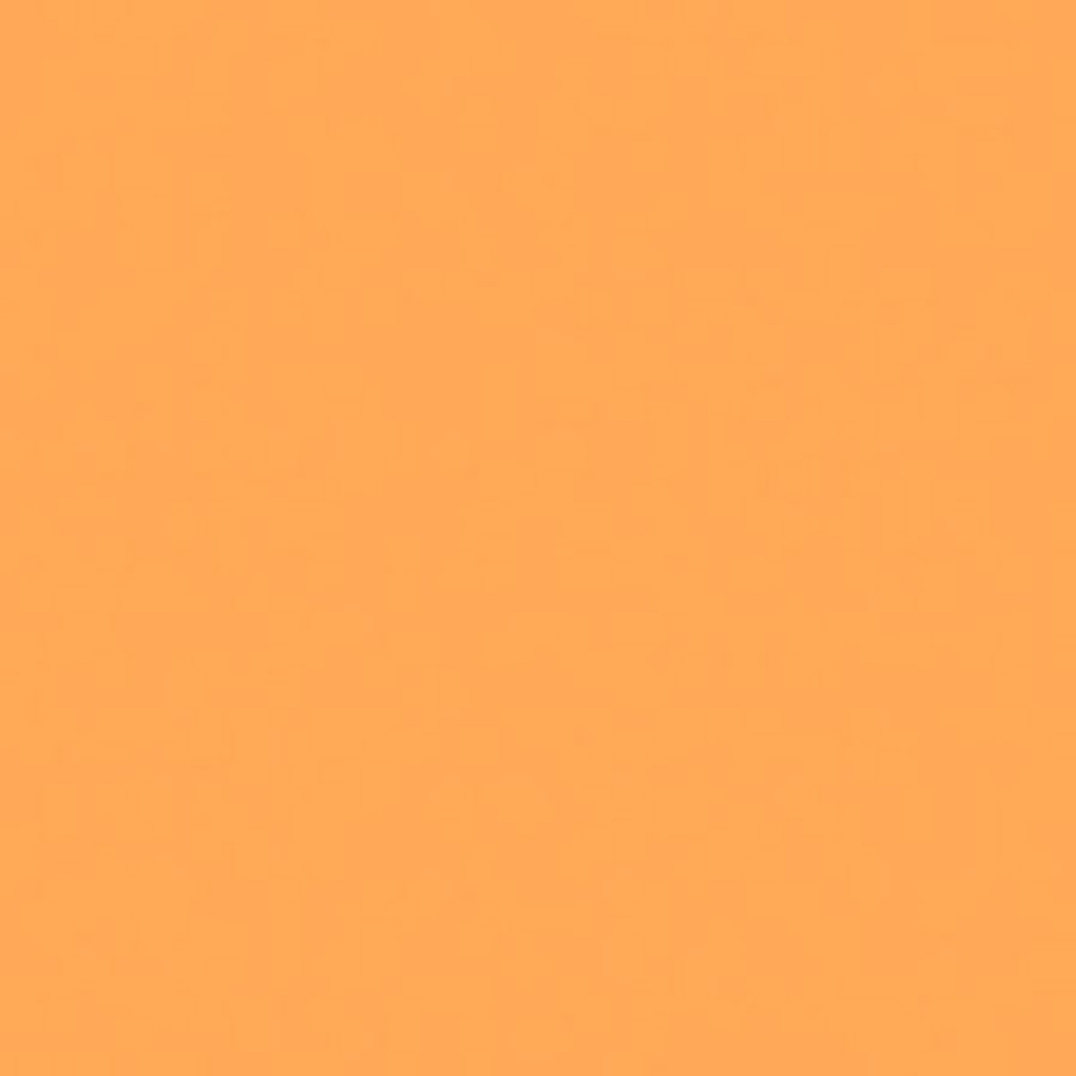 

Rosco 16 Roscolux Light Amber,20x24 Color Effect Filter, Open Box