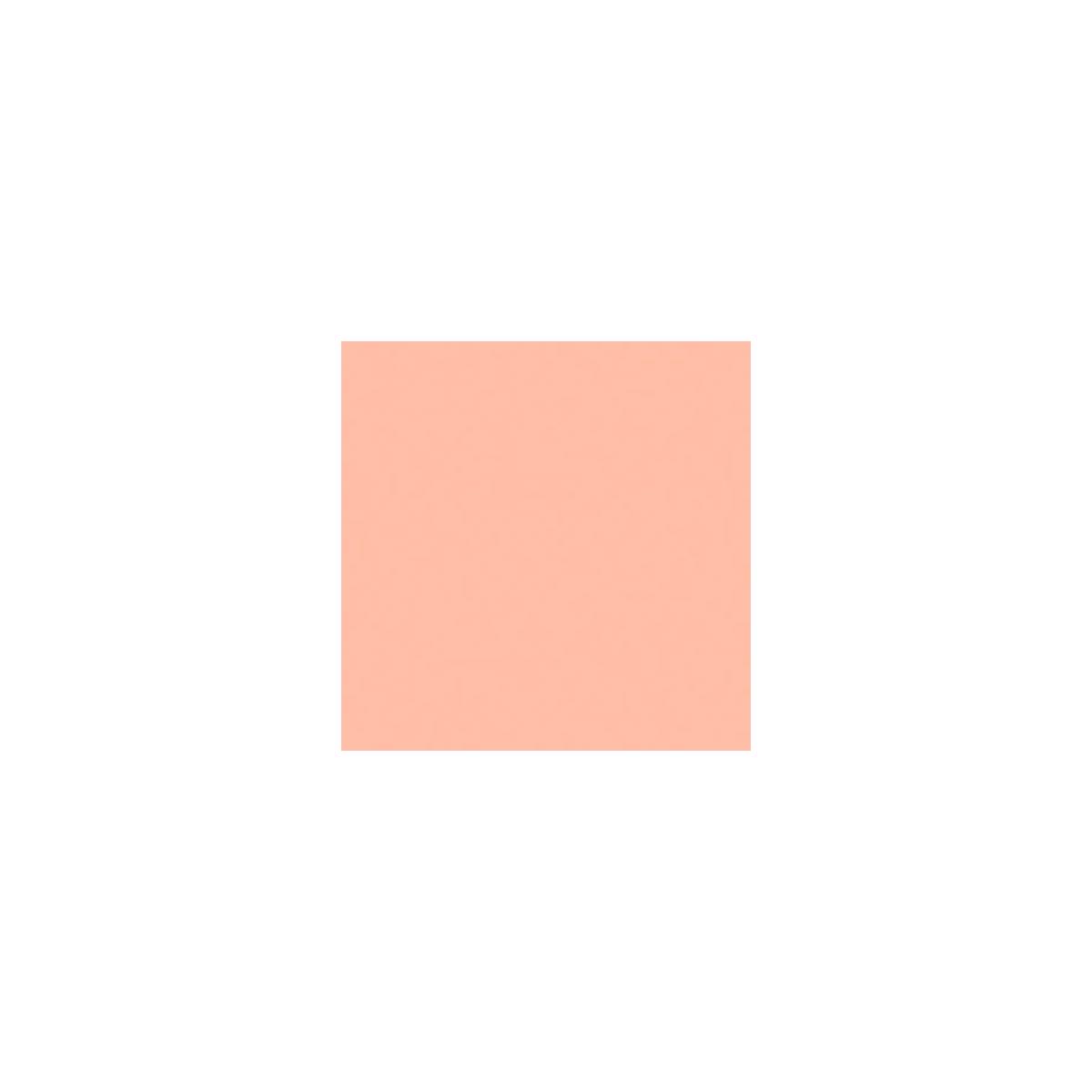 Image of Rosco 304 Roscolux Pale Apricot