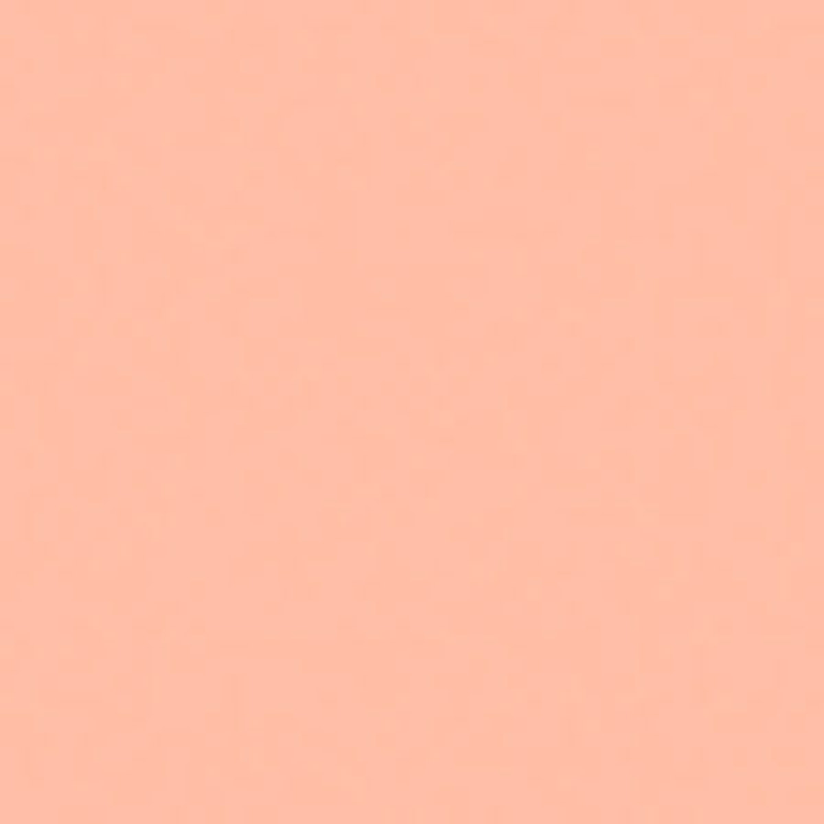 Image of Rosco 304 Roscolux Pale Apricot