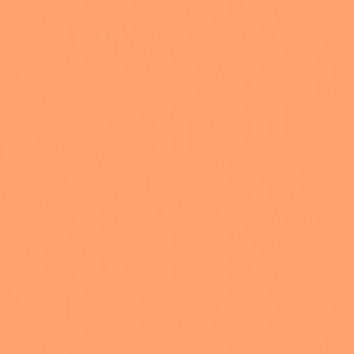

Rosco 3106 Cegel Tough MTY, 20x24 Correction Filter