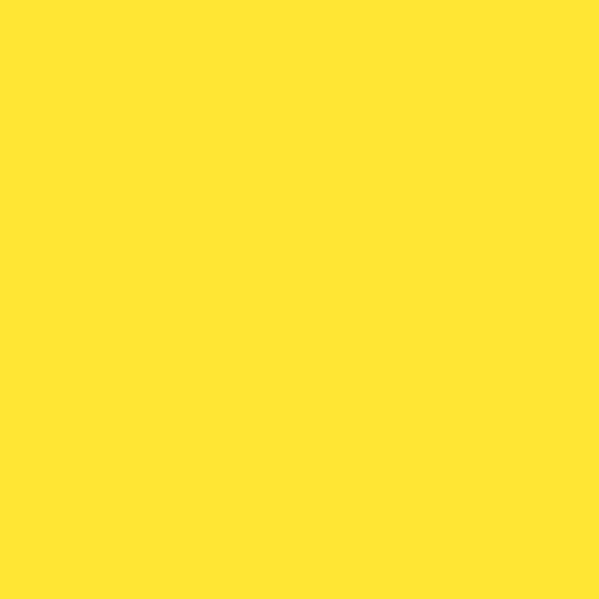 

Rosco Roscolux #313 Light Relief Yellow Filter, 20x24" Sheet