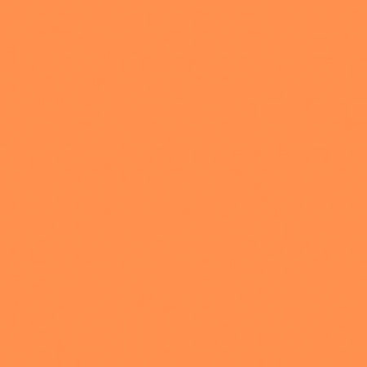 

Rosco 317 Roscolux Apricot, 20x24 Color Effects Filter
