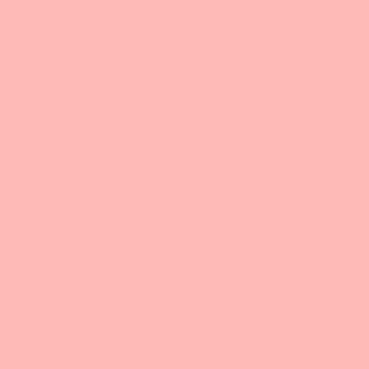 

Rosco Roscolux #331 Shell Pink Color Filter, 20x24" Sheet