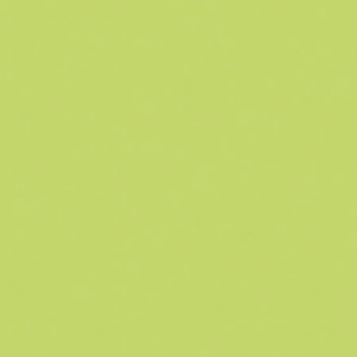 

Rosco 388 Roscolux Gaslight Green, 20x24 Color Filter