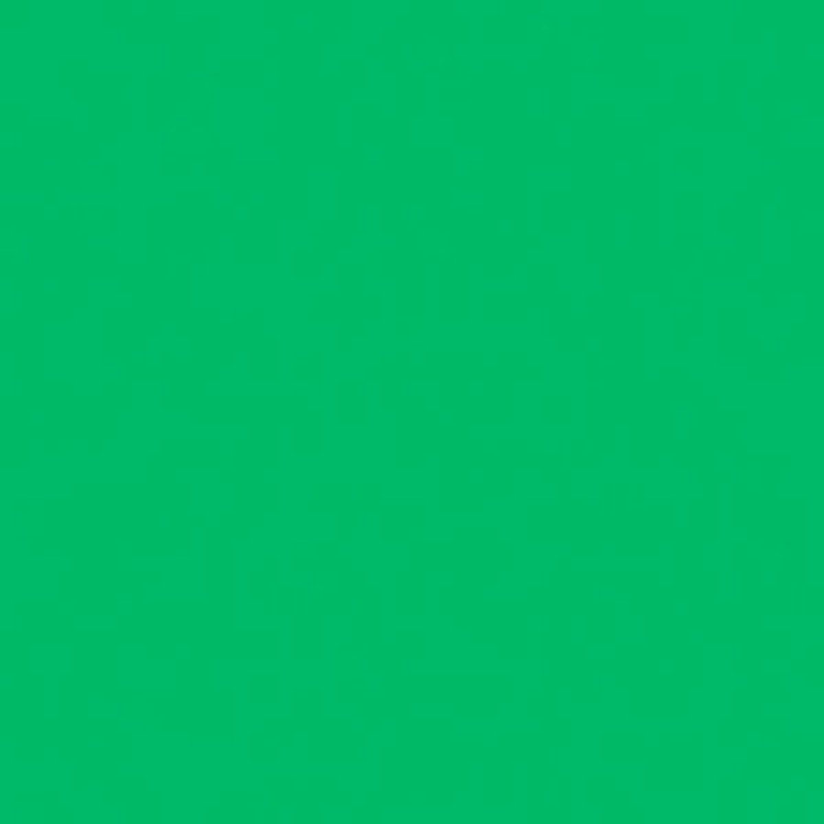 

Rosco 389 Roscolux Chroma Green, 20x24 Color Filter