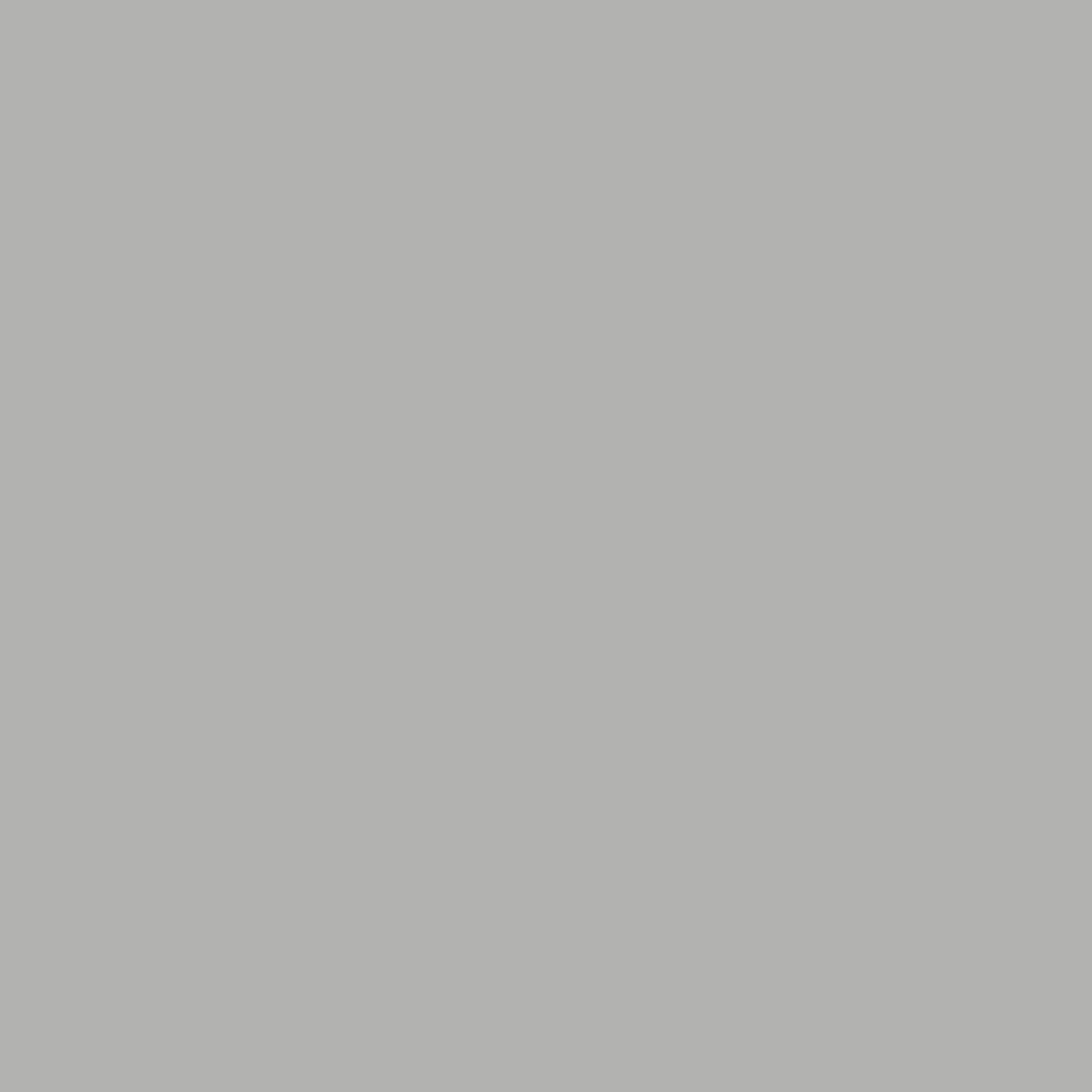 

Rosco Roscolux Supergel #398 Neutral Gray Filter, 20x24" Sheet