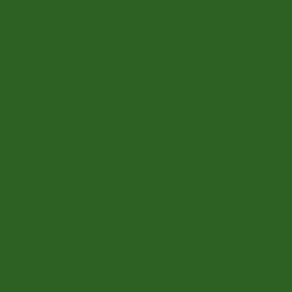 

Rosco CalColor #4490 Green Filter, 3 Stop, 48"x25' Roll