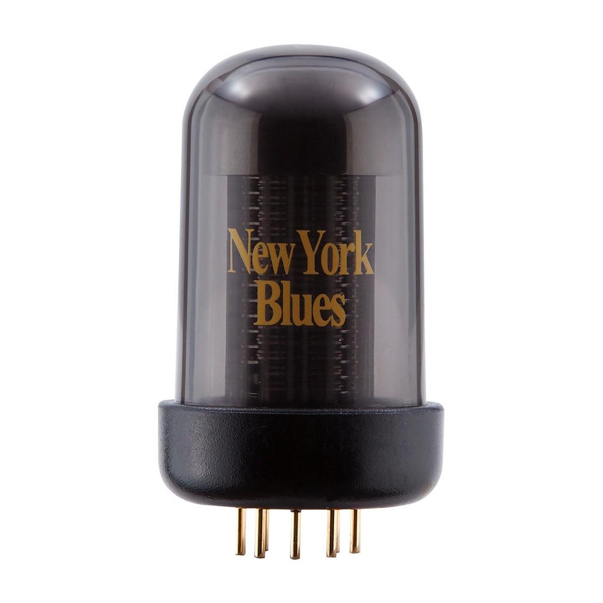 Image of Roland New York Blues Tone Capsule for Blues Cube Guitar Amplifier