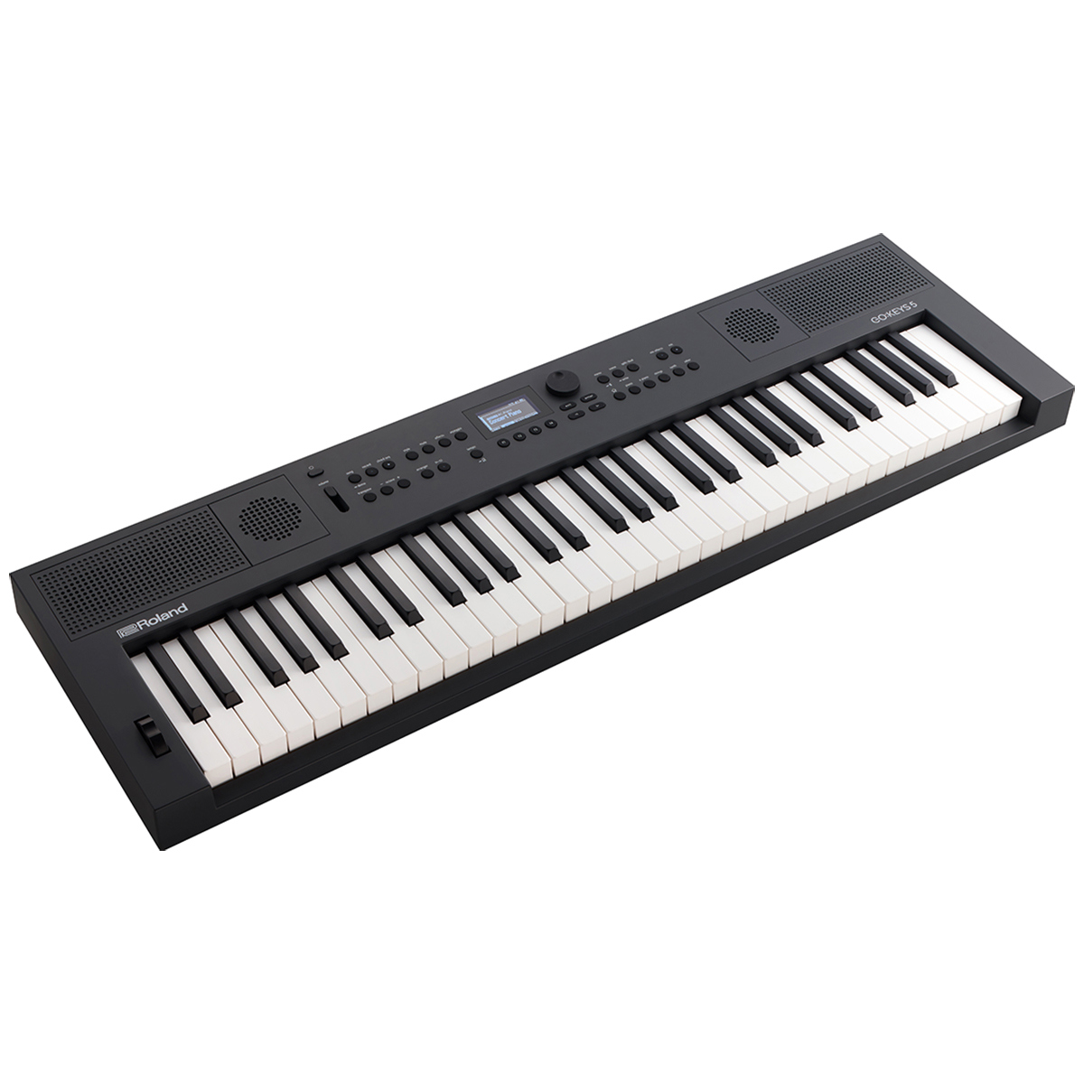 

Roland GO:KEYS 5 61-Key Music Creation Keyboard Graphite