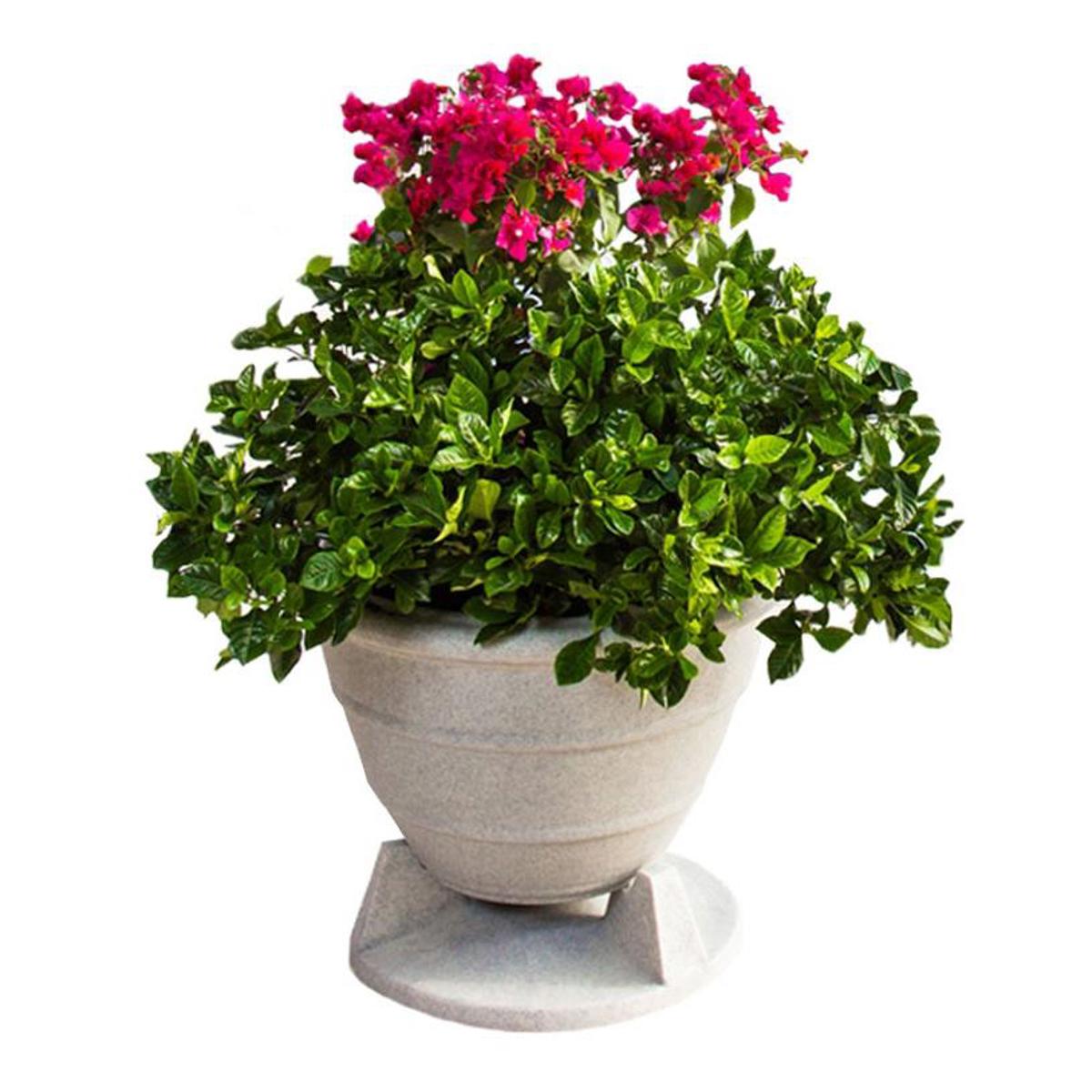 

Rockustics 6.5" 2-Way OmniPlanter Speaker with SweetSpot, Granite Gray