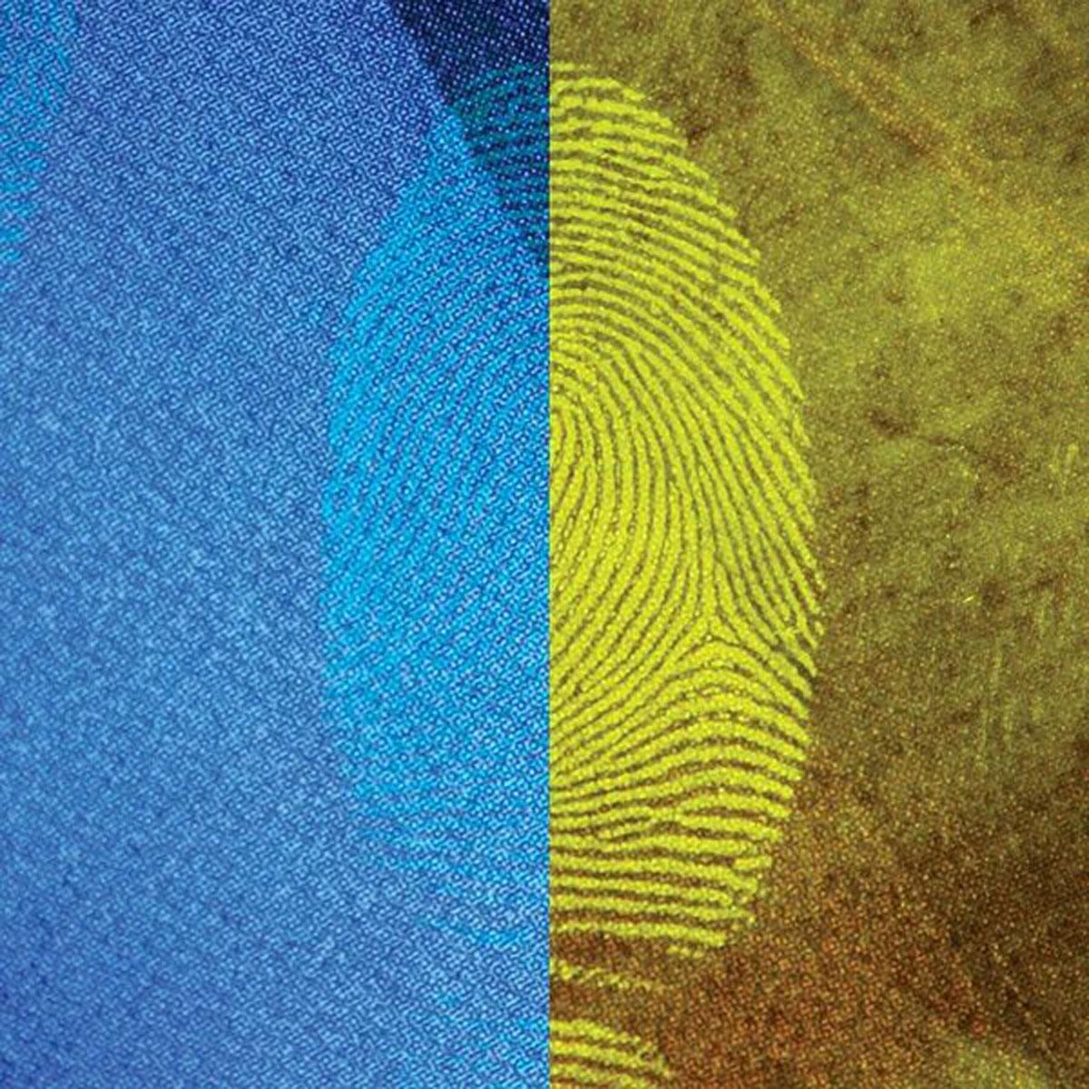 Image of Safariland Blitz-Green Magnetic Fingerprint Powder