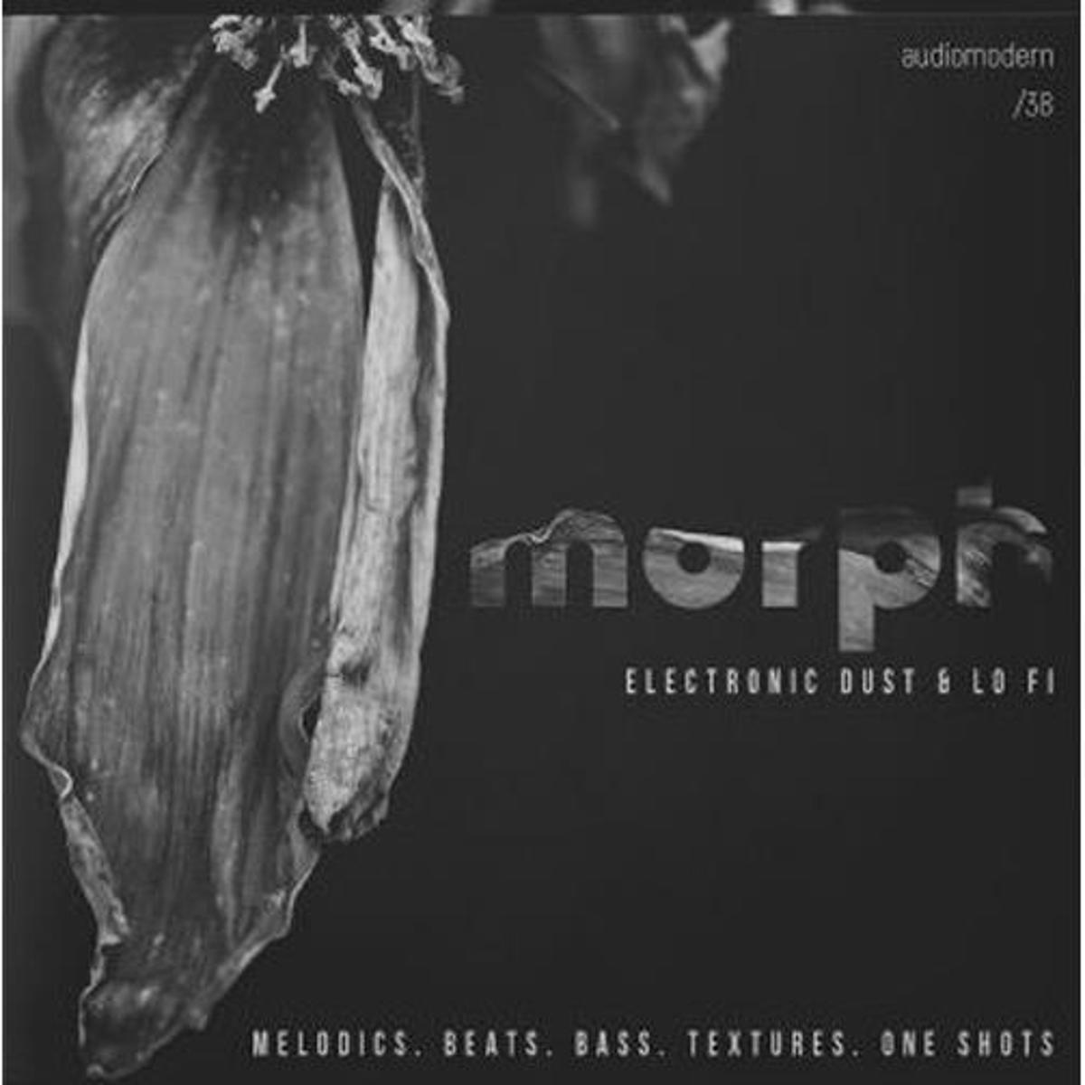 

Sample Packs Morph, Download