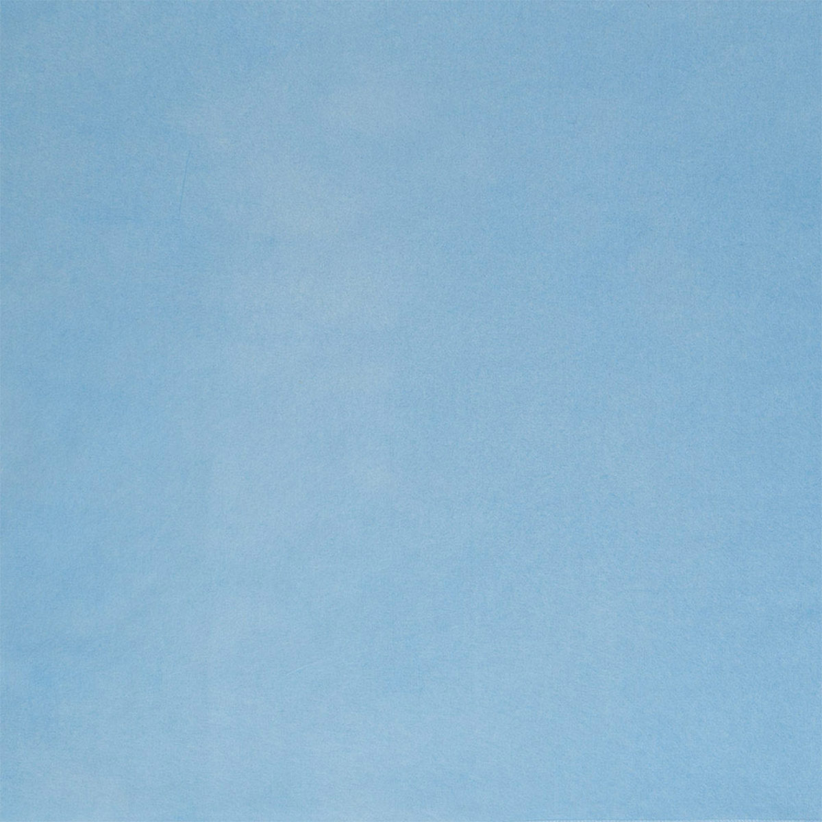 

Savage Studio Assets 8x8' Muslin for PXB System, Powder Blue