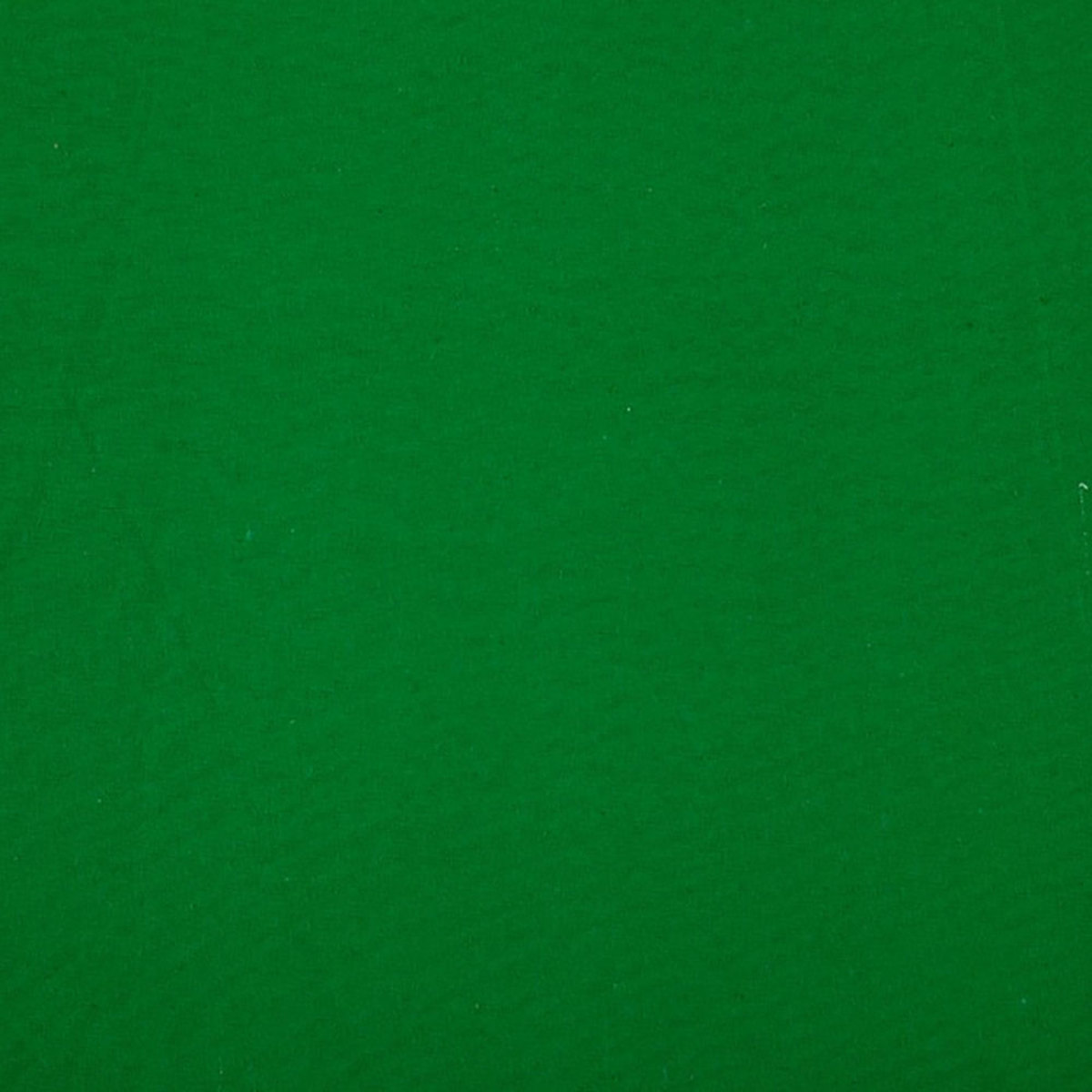 

Studio Assets 8x10' Muslin for PXB System, Chroma Key Green