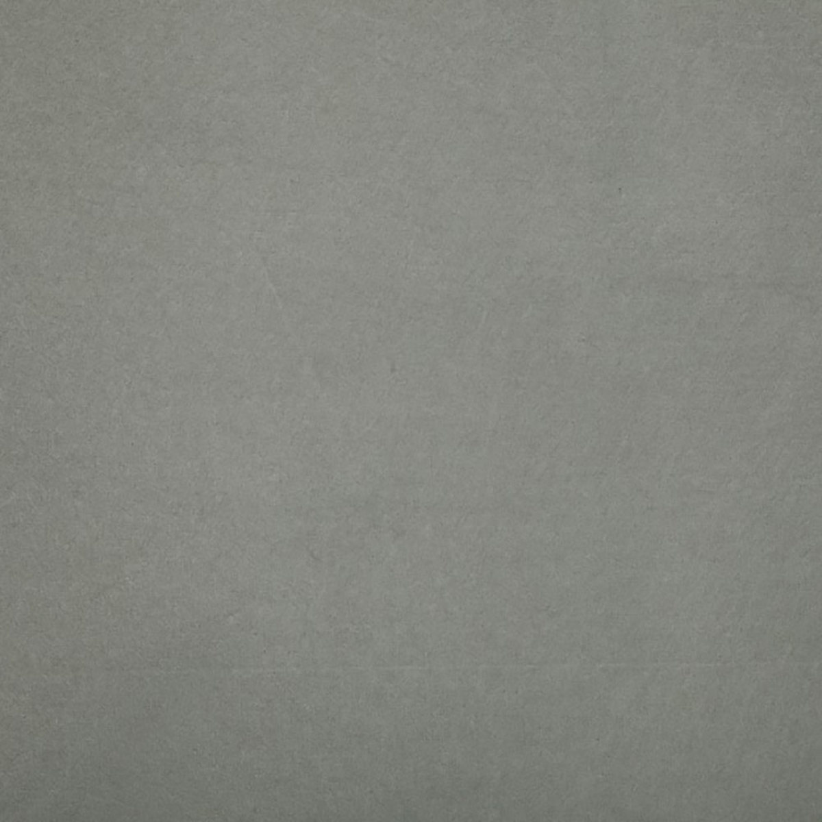 

Studio Assets 8x12' Muslin for PXB System, Light Gray