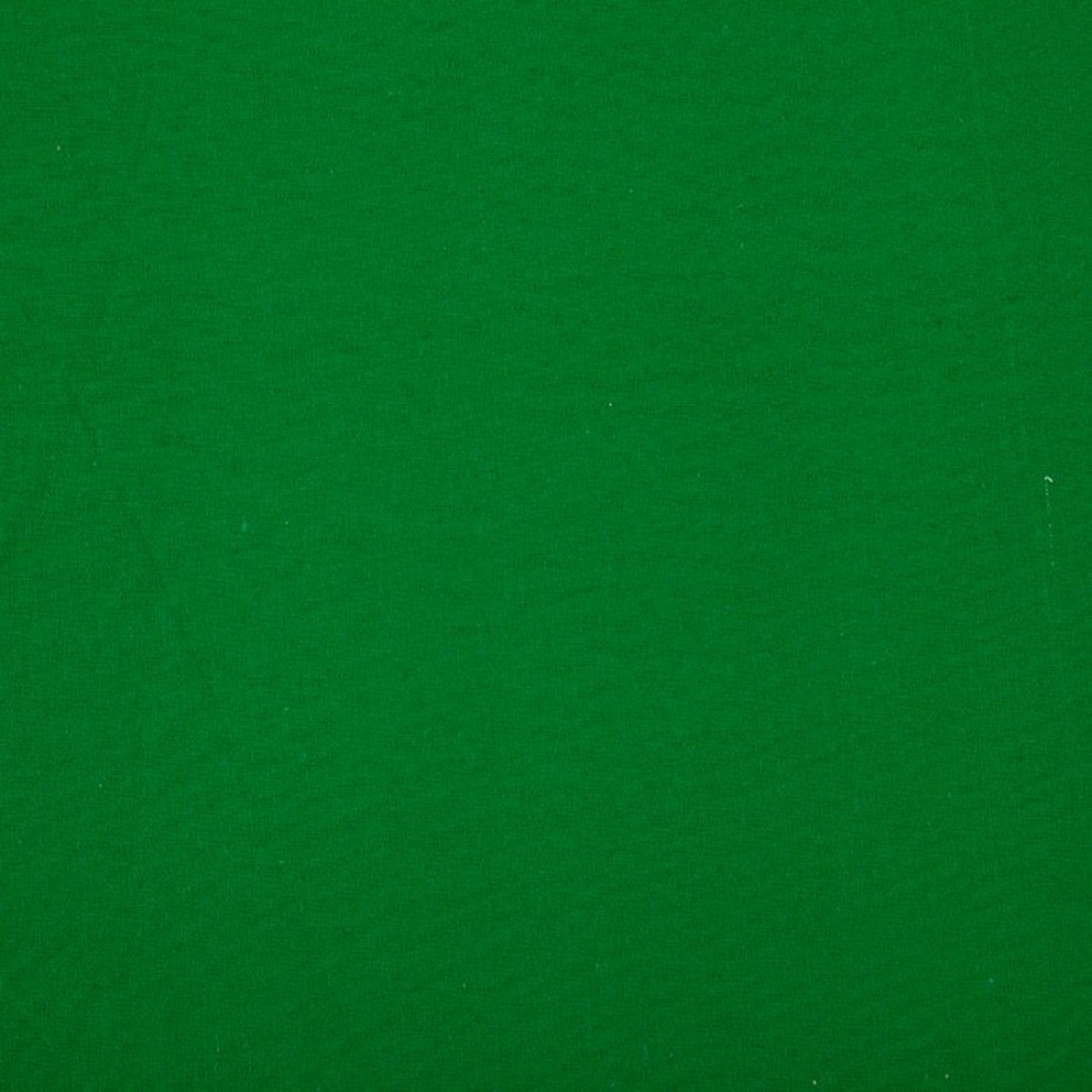 

Studio Assets 10x12' Solid-Color Muslin Backdrop, Chroma Key Green