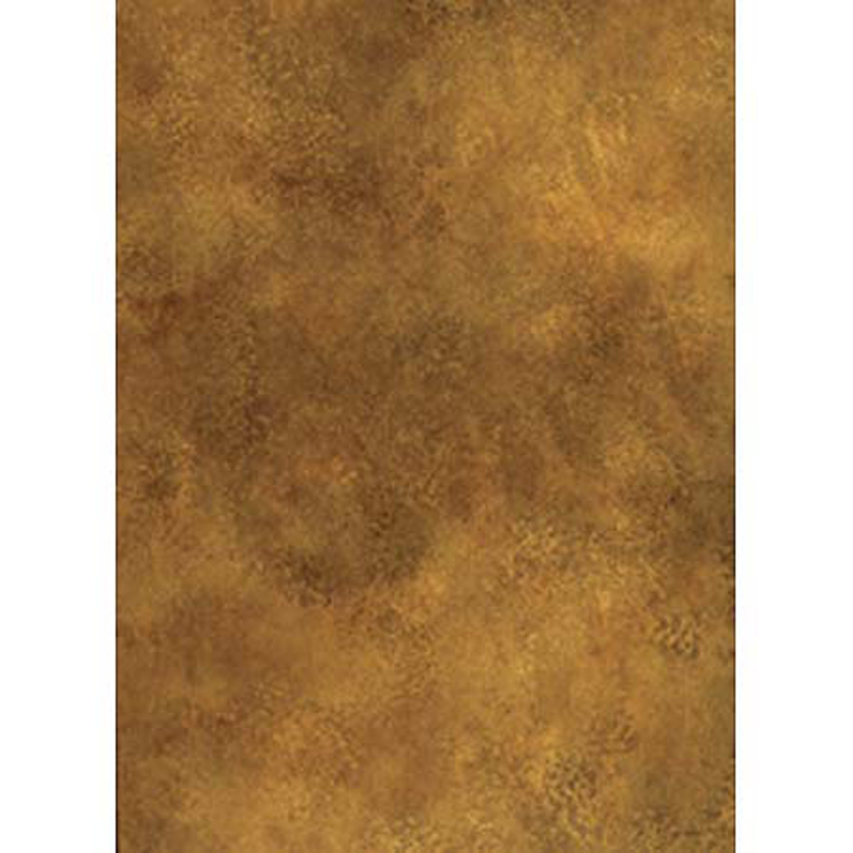 

Savage Infinity 10x20ft Muslin Background Petra, Tan