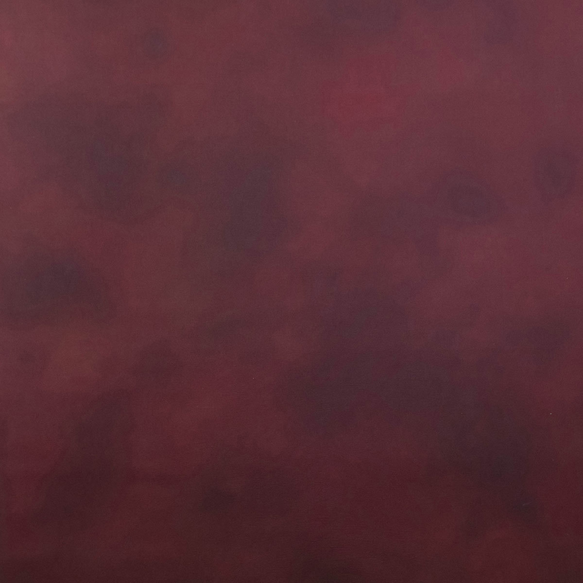 

Savage 5x7' Scarlet Canvas Backdrop