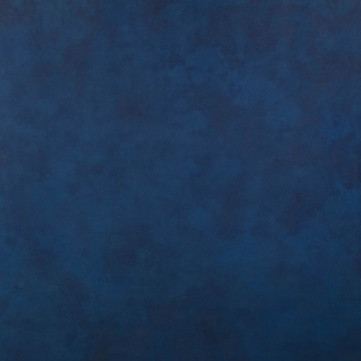 

Savage Midnight Canvas Backdrop, 5x7'