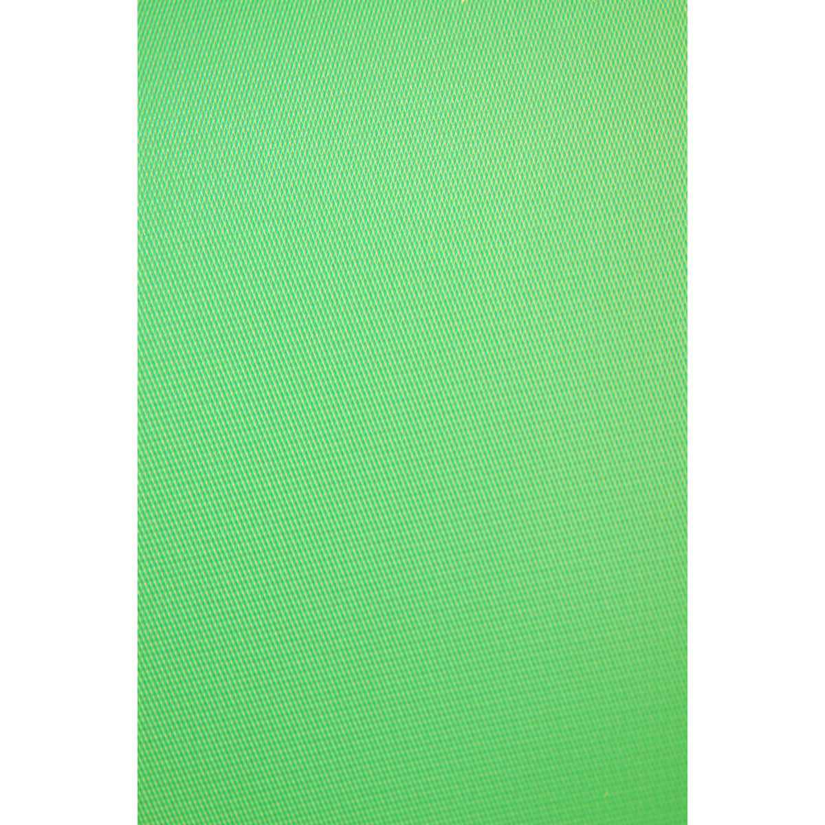 

Savage 5x12' Infinity Vinyl Background, Chroma Green