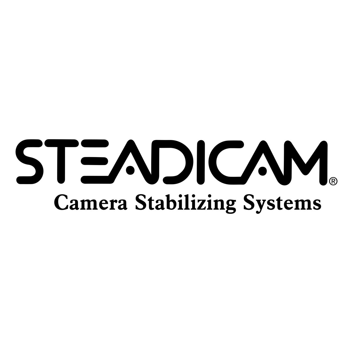 

SteadiCam Steadicam HARD CASE FOR TANGO