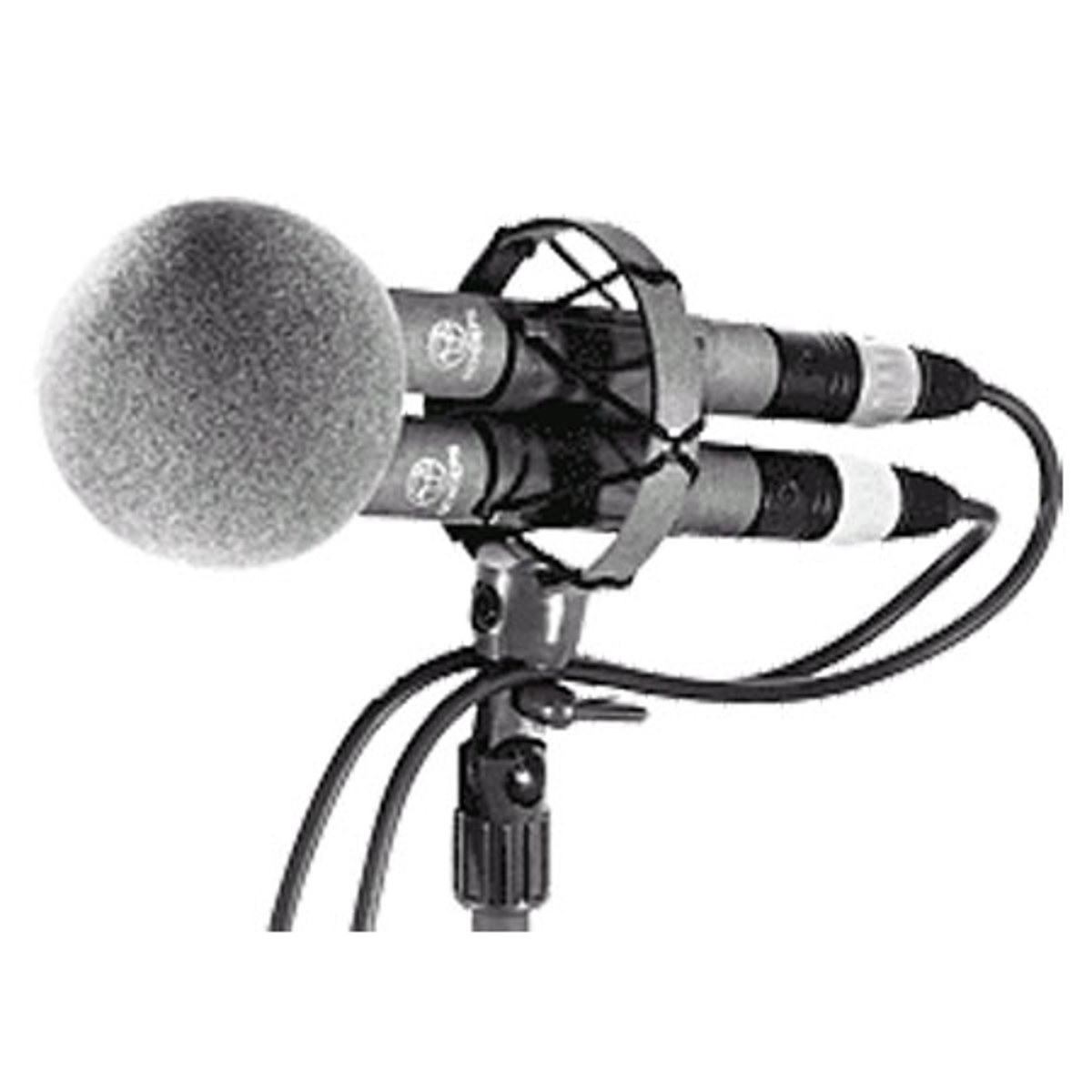 

Schoeps WMS Foam Windscreen for M/S Stereo Microphones