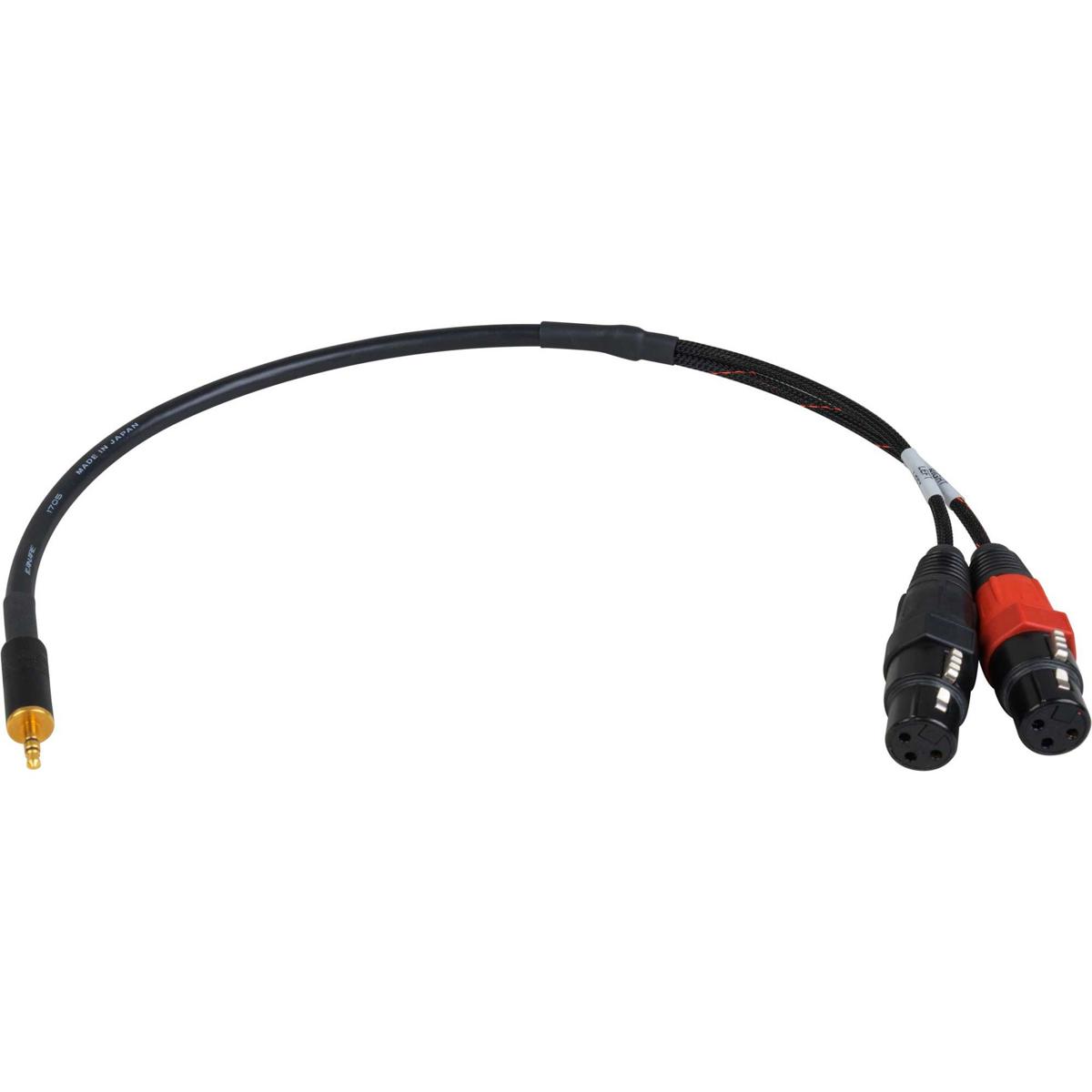 

Sescom 18" TRS to XLR with 43dB Pad DSLR Attenuating Line to Mic Level Cable