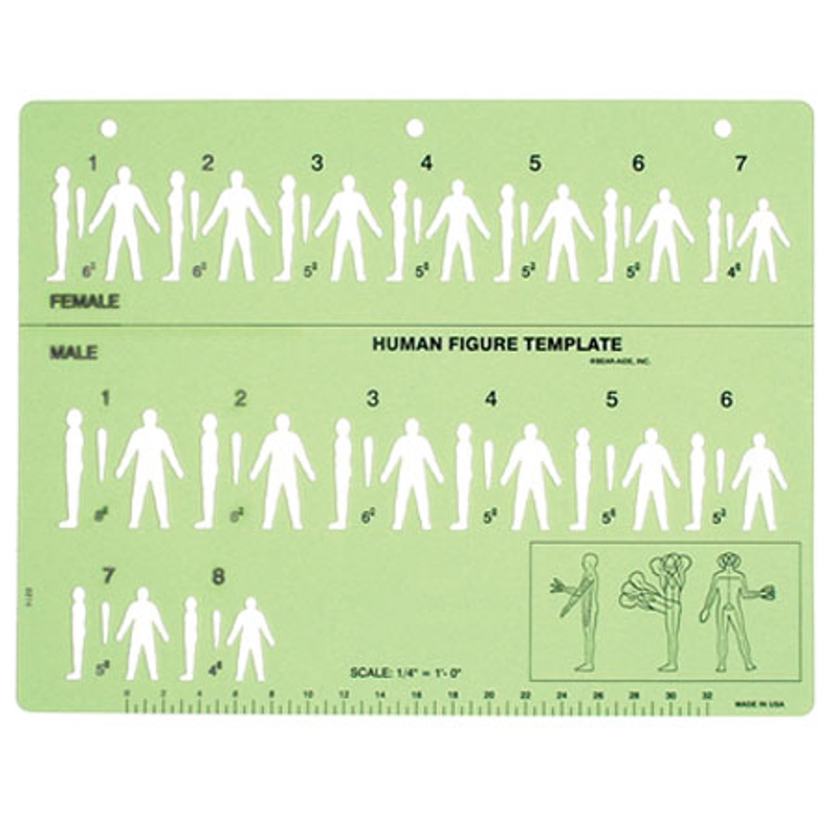 

Sirchie Human Figure Template