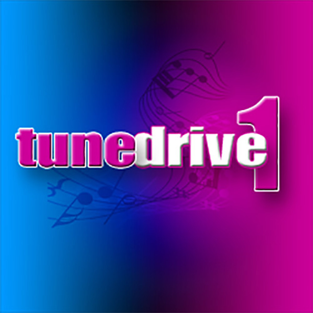 Image of Sound Ideas Tune Drive 1 Software on Hard Drive