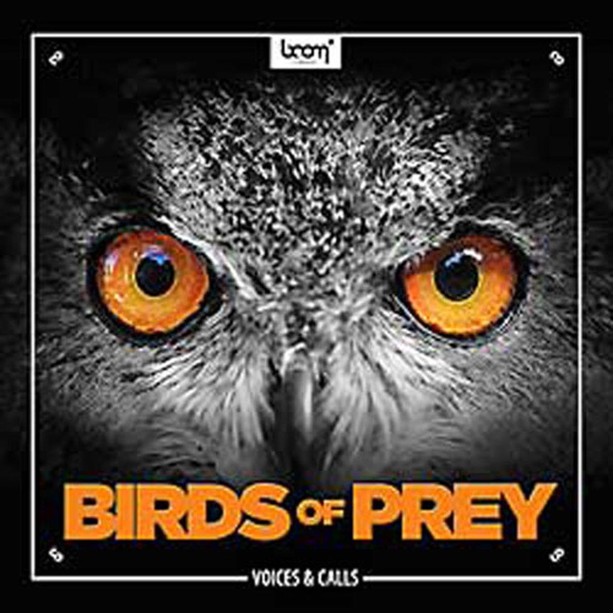 Image of Sound Ideas Birds of Prey Sound Effects on DVD