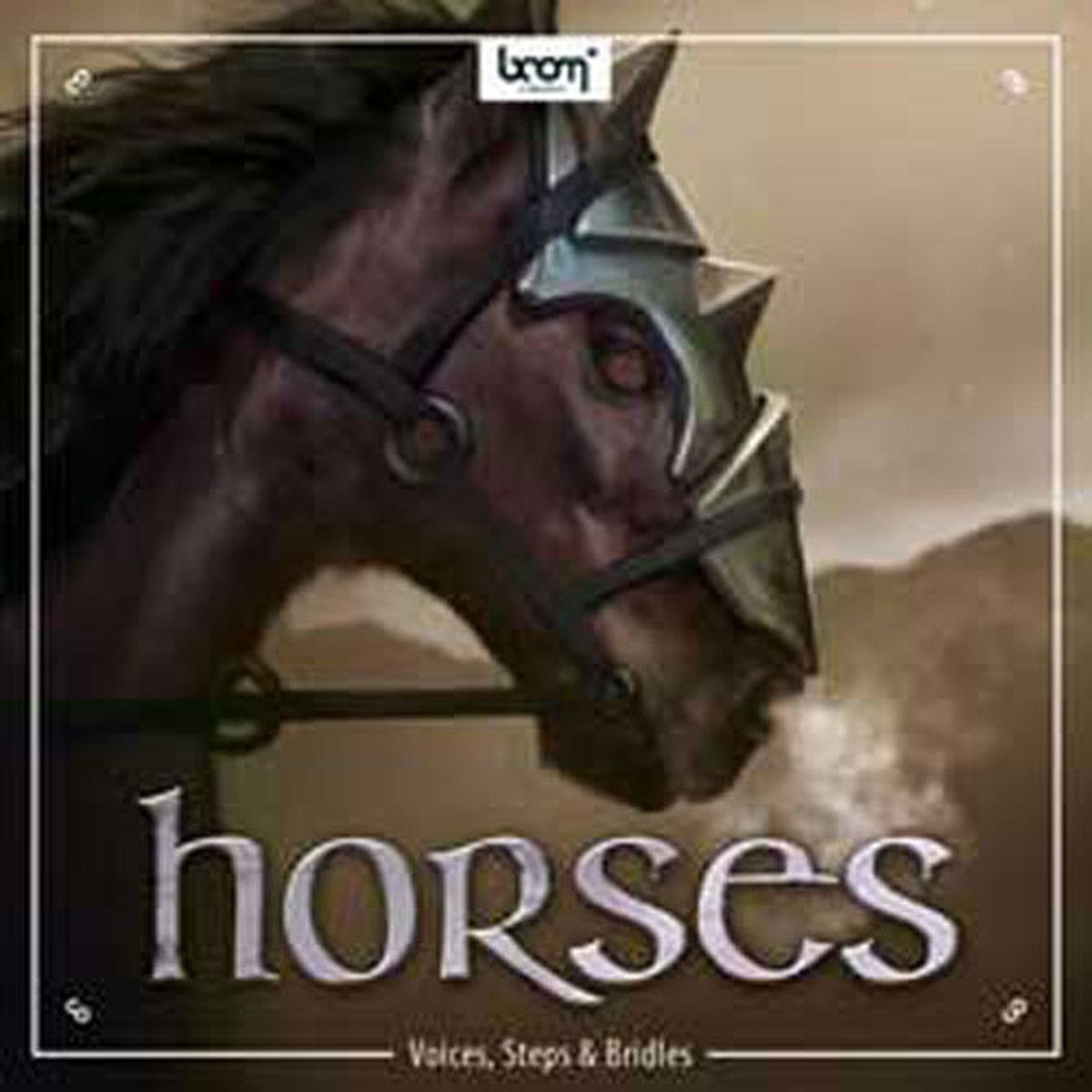 Image of Sound Ideas Horses Sound Effects DVDs