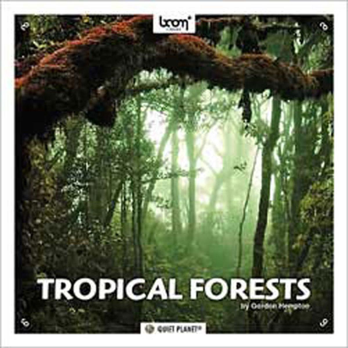 Image of Sound Ideas Tropical Forest Sound Effects on DVDs
