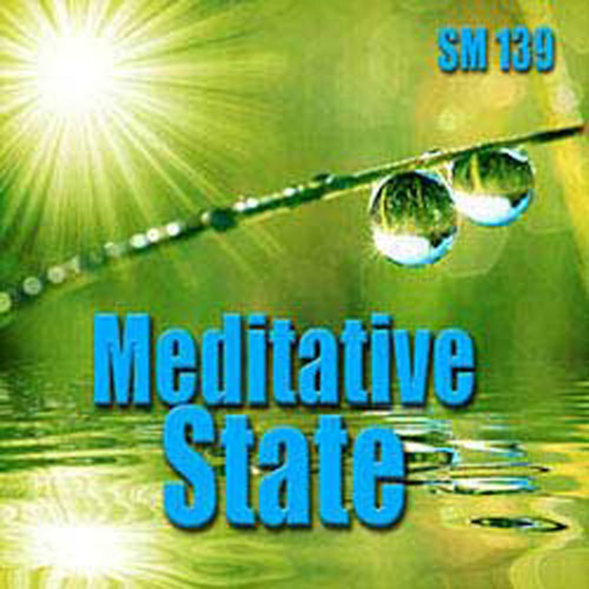 Sound Ideas M-SI-VIRTUAL-MEDITATIVE S