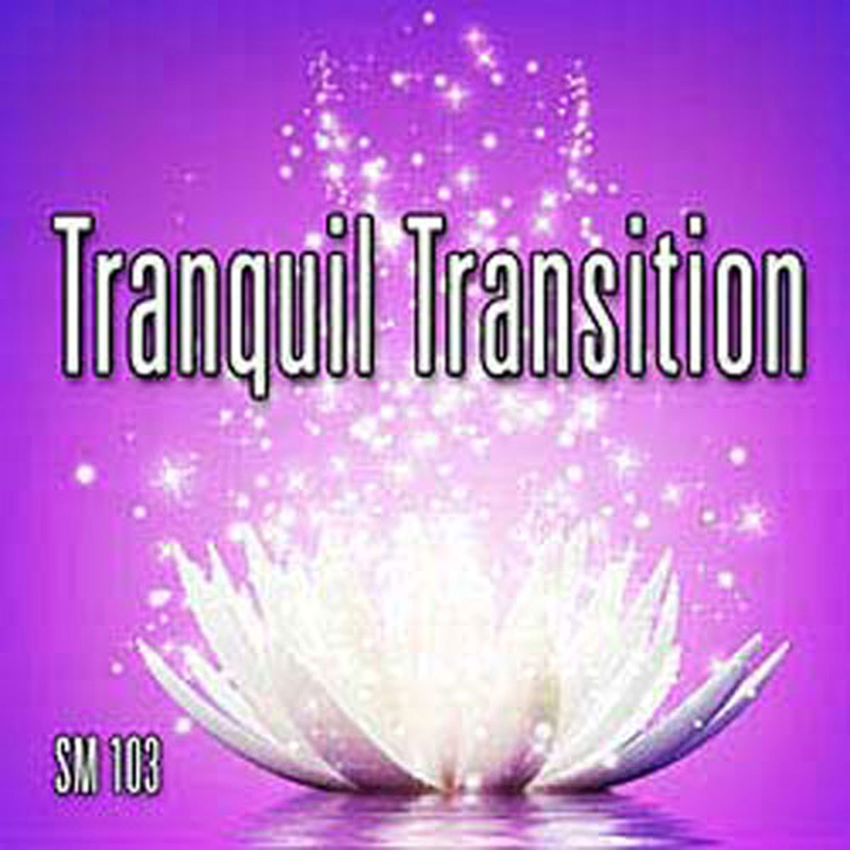 

Sound Ideas Royalty Free Music Tranquil Transition Software, Digital Download