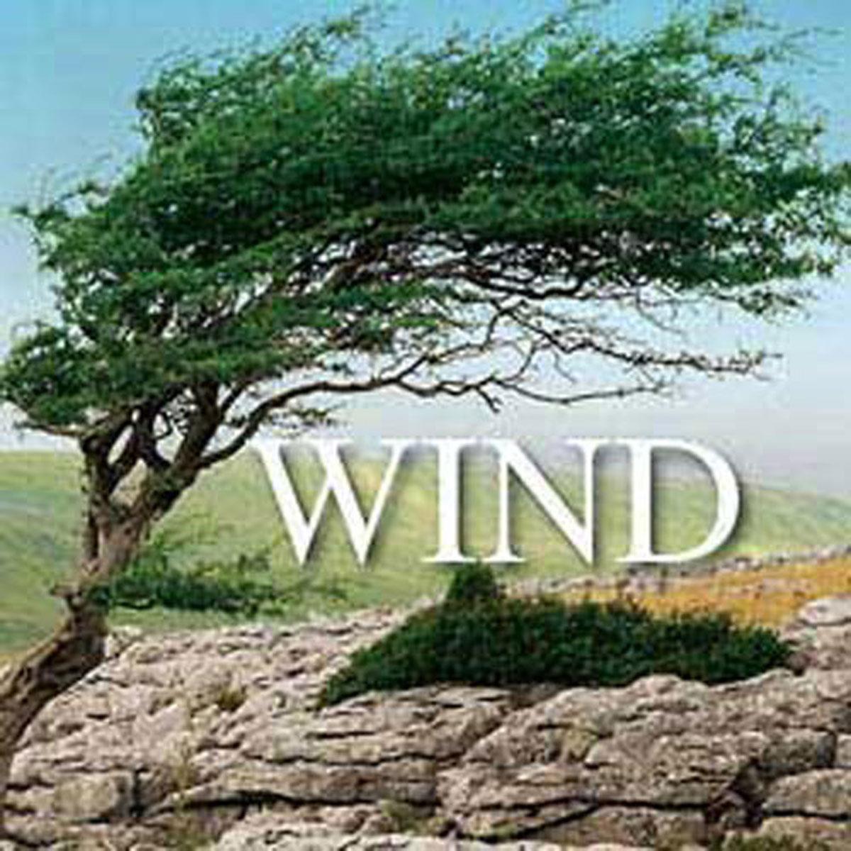 Image of Sound Ideas Wind Sound Effects DVDs