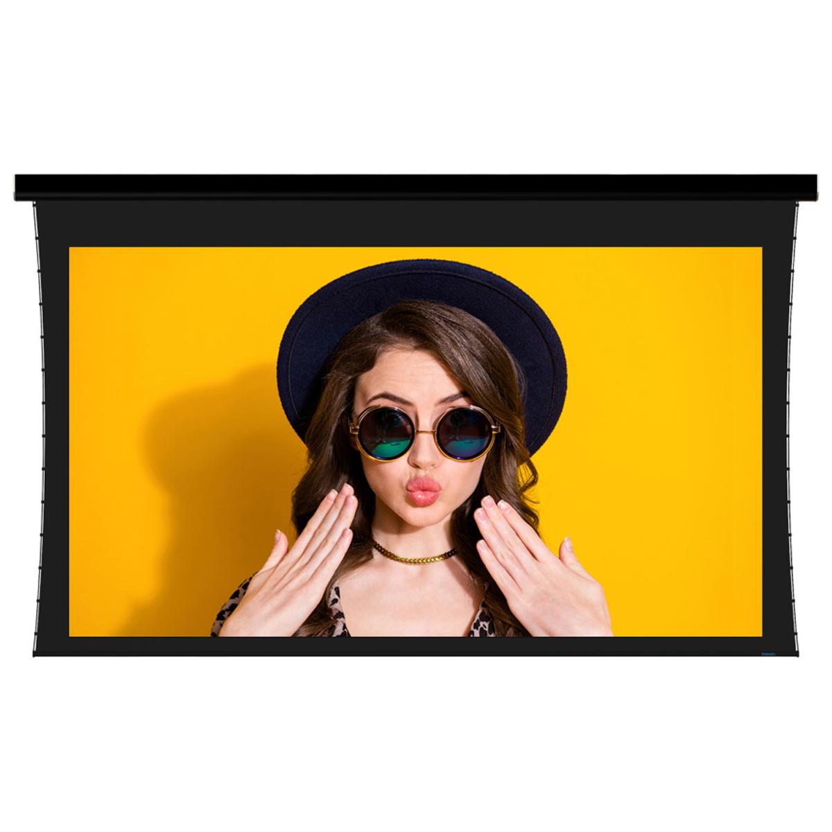 

Stewart Filmscreen Luxus StudioTek 130 G4 120" 16:9 HD Projector Screen