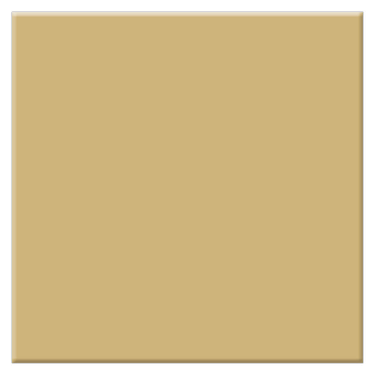 

Tiffen 4x4" Antique Suede #1 Solid Color Filter