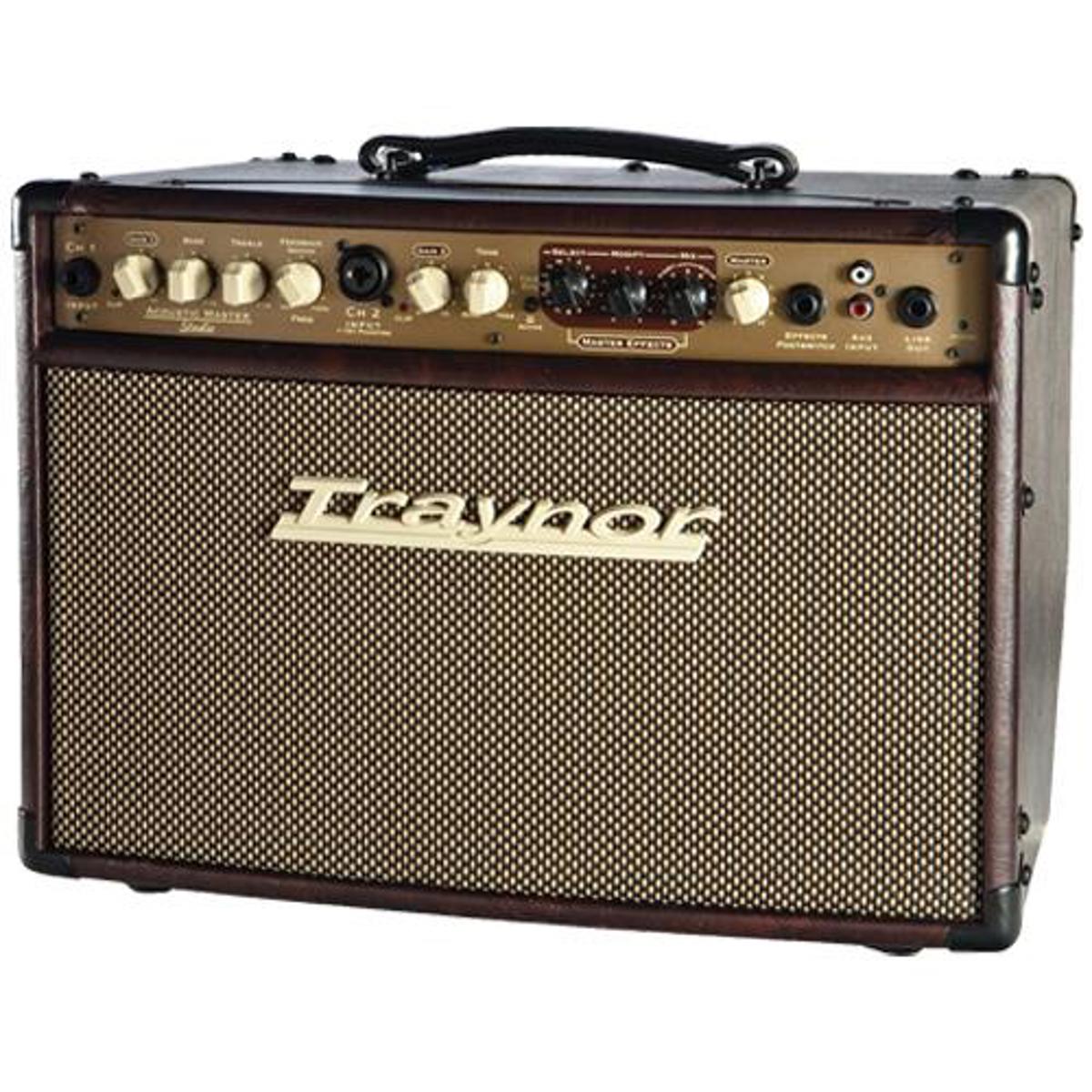 

Traynor AM Studio 65W 1x8" Acoustic Guitar Combo Amplifier, 1" Tweeter,8" Woofer